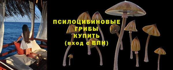 тгк Богданович