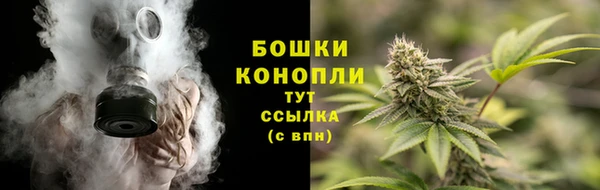 прущие грибы Богородицк
