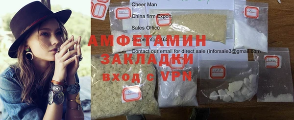 прущие грибы Богородицк