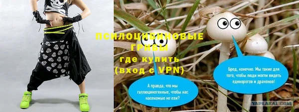 прущие грибы Богородицк