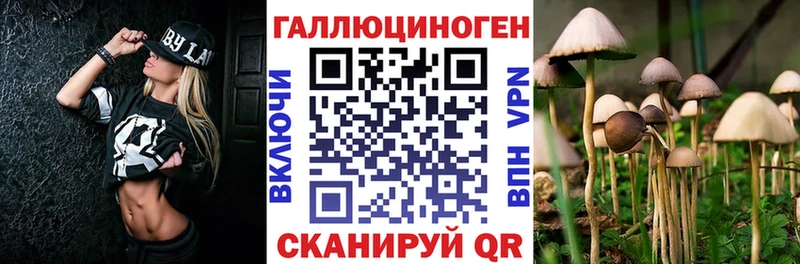 Псилоцибиновые грибы мицелий  Купить закладки  Сычёвка 